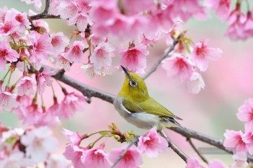 Von Fotos Realistisch Werke - Vogel Pirol im Frühjahr Blumen von Fotos Kunst Malerei